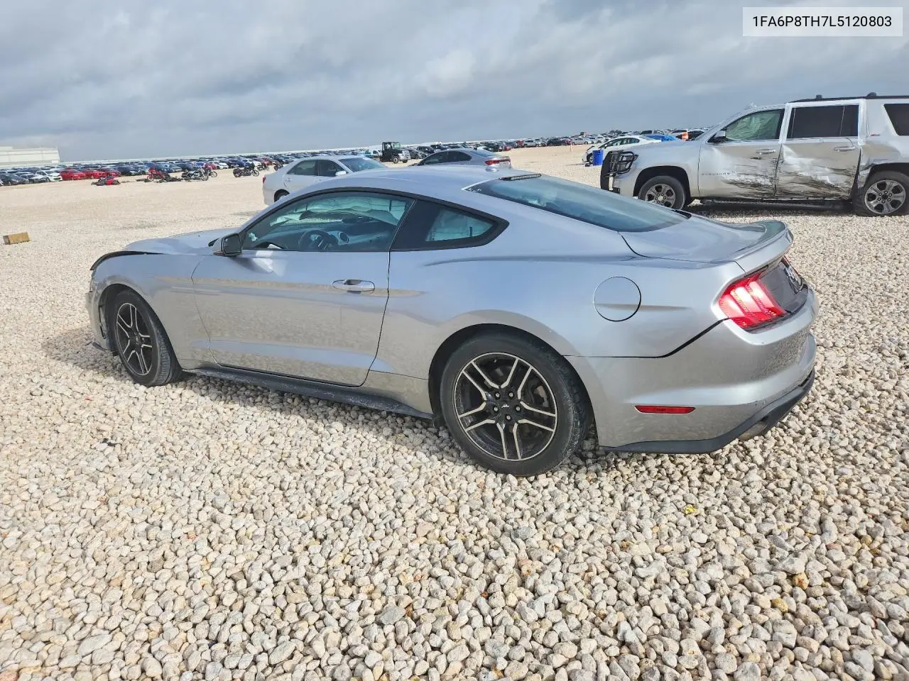 2020 Ford Mustang VIN: 1FA6P8TH7L5120803 Lot: 61617866