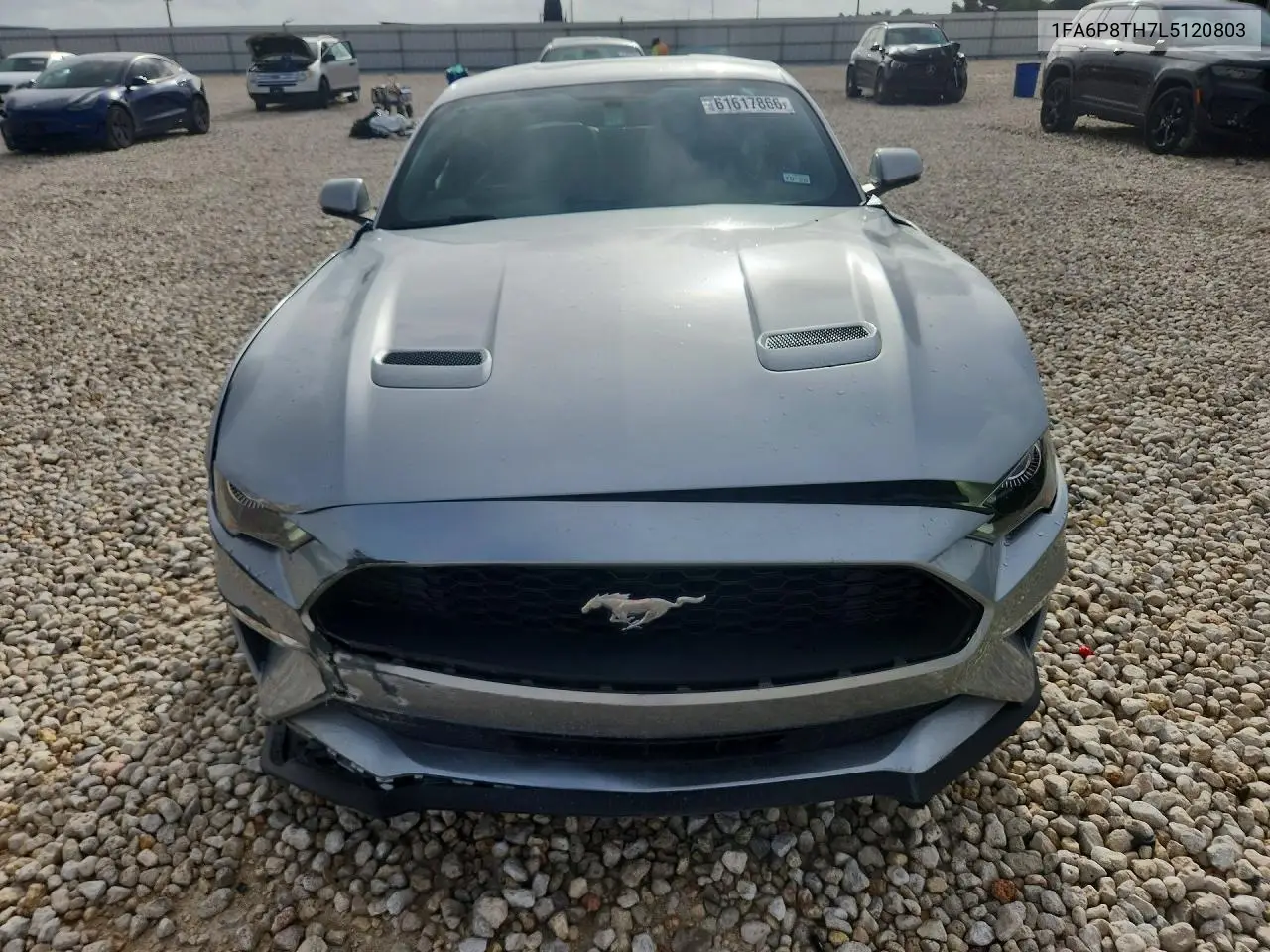 2020 Ford Mustang VIN: 1FA6P8TH7L5120803 Lot: 61617866