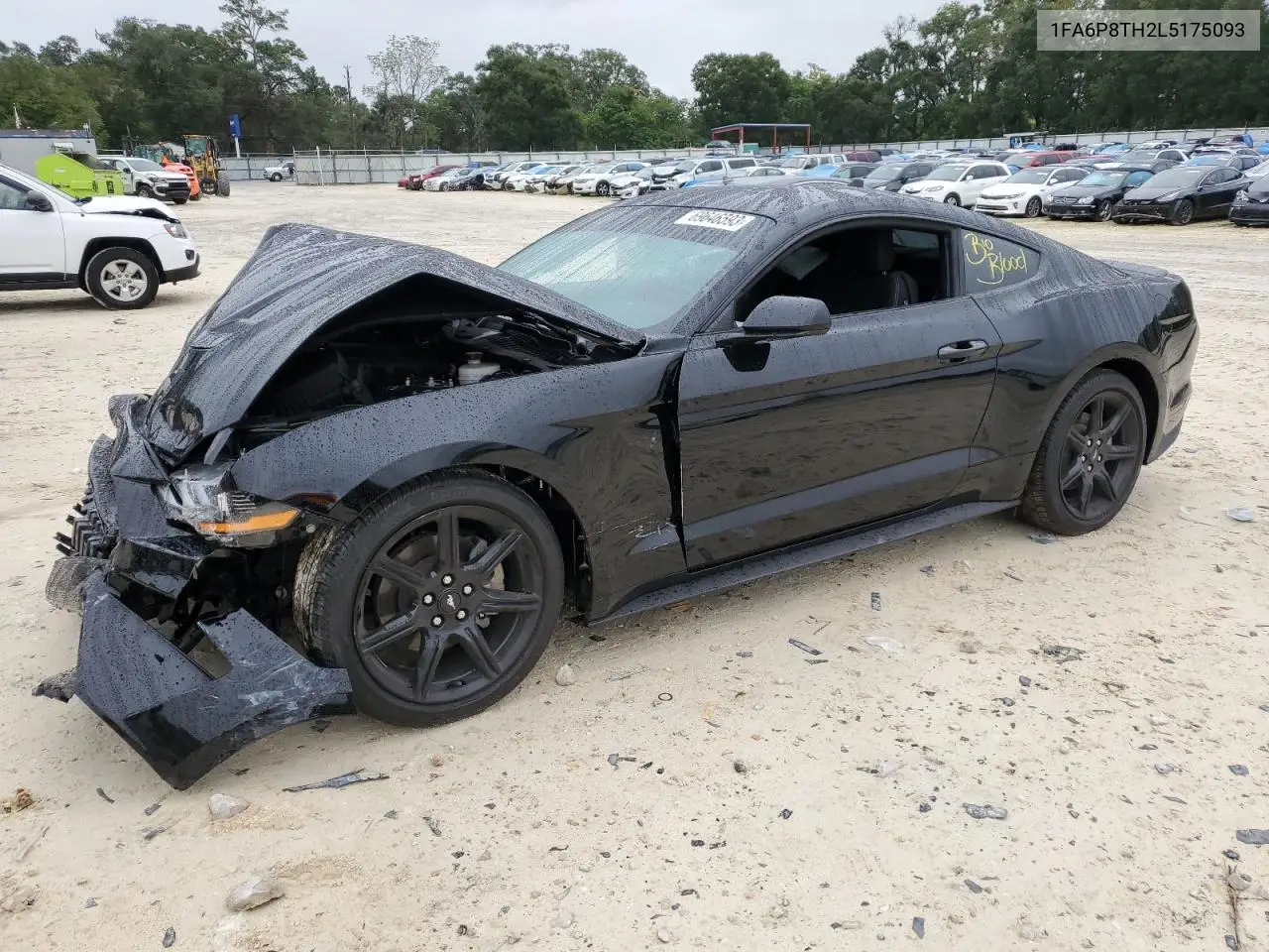 2020 Ford Mustang VIN: 1FA6P8TH2L5175093 Lot: 69646593