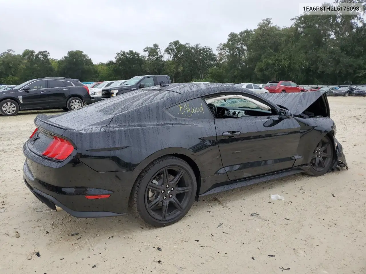 2020 Ford Mustang VIN: 1FA6P8TH2L5175093 Lot: 69646593