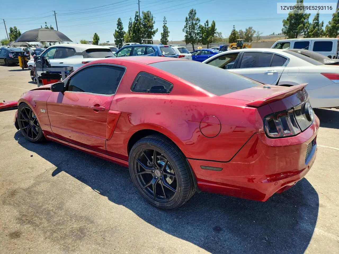 2023 Ford Mustang Gt VIN: 1ZVBP8CF9E5293116 Lot: 61014276