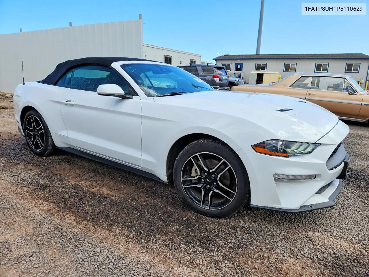 2023 Ford Mustang VIN: 1FATP8UH1P5110629 Lot: 61627796