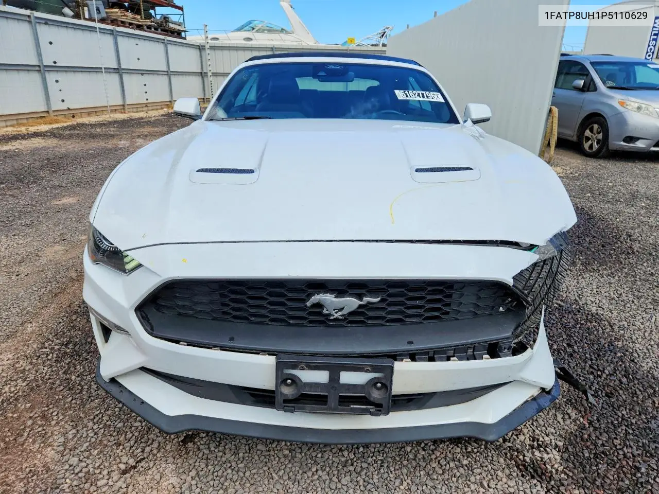 2023 Ford Mustang VIN: 1FATP8UH1P5110629 Lot: 61627796