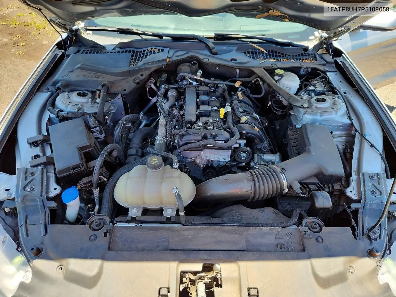 2023 Ford Mustang VIN: 1FATP8UH7P5108058 Lot: 61627806