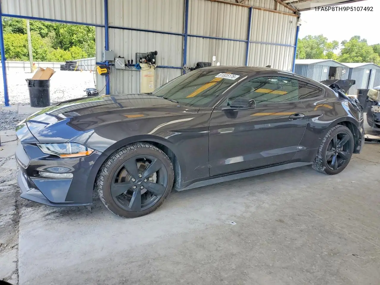 2023 Ford Mustang VIN: 1FA6P8TH9P5107492 Lot: 61805176