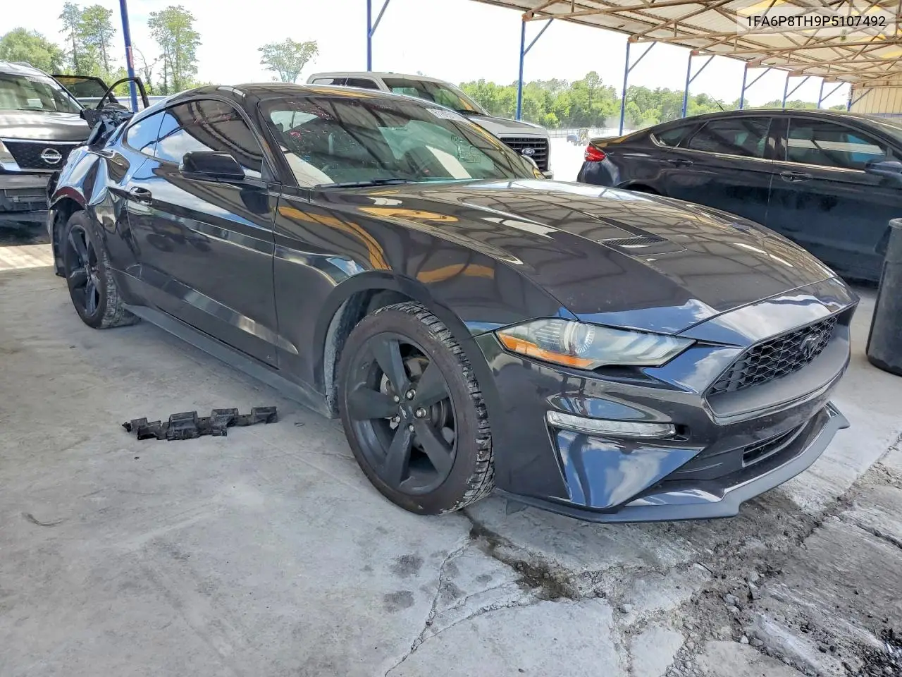2023 Ford Mustang VIN: 1FA6P8TH9P5107492 Lot: 61805176