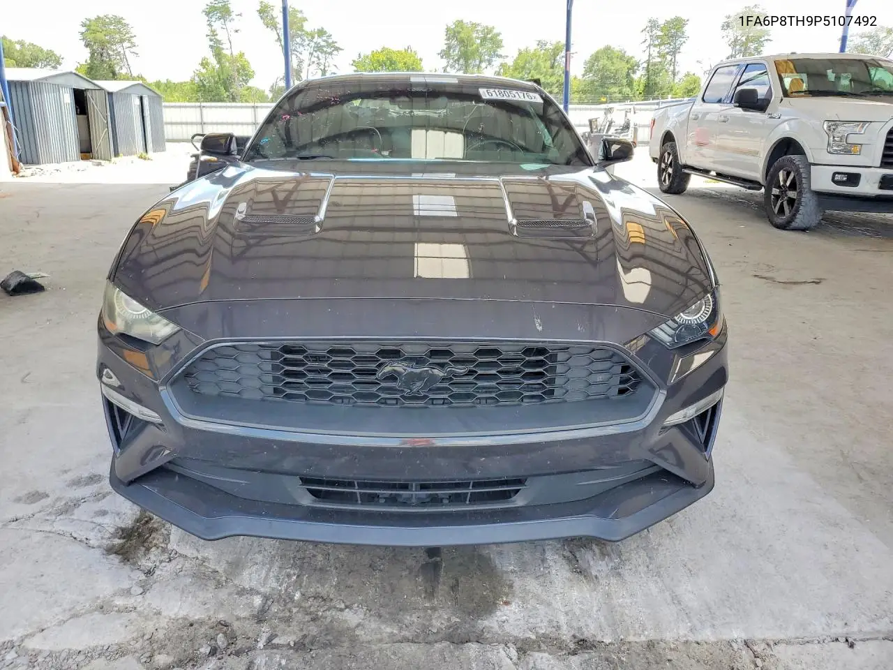 2023 Ford Mustang VIN: 1FA6P8TH9P5107492 Lot: 61805176