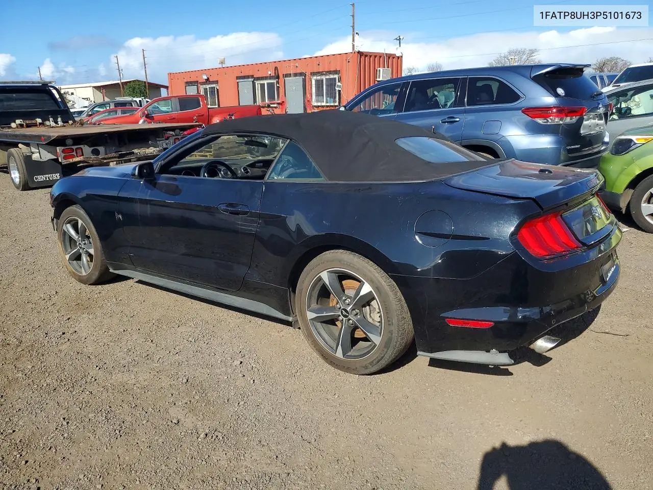 Mustang