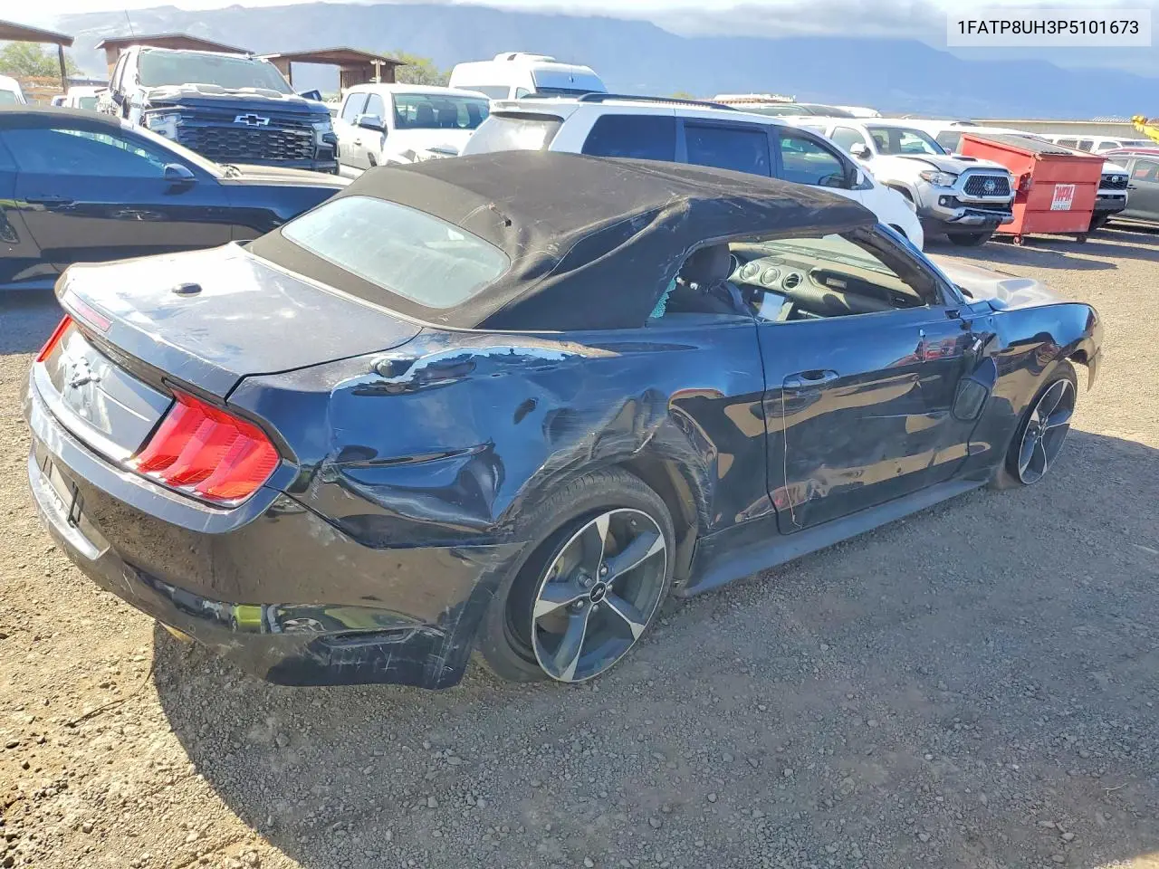 Mustang