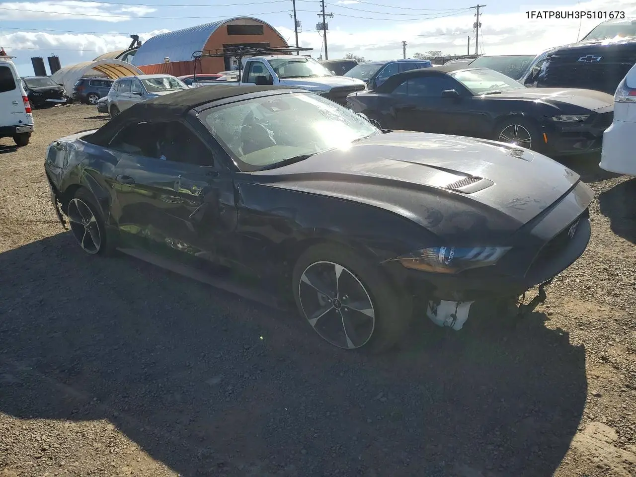 Mustang