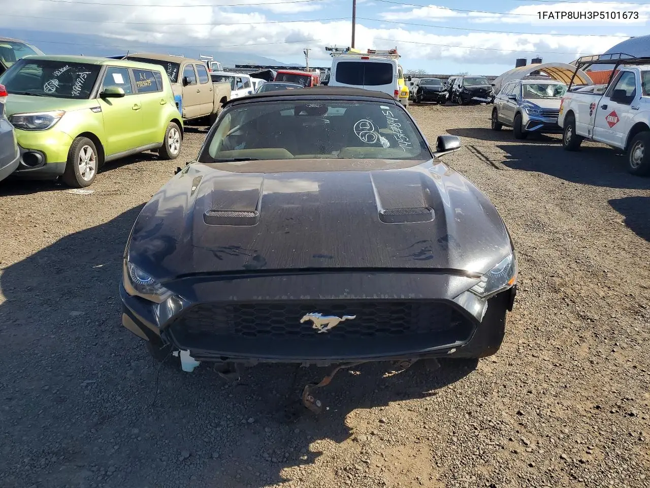 Mustang