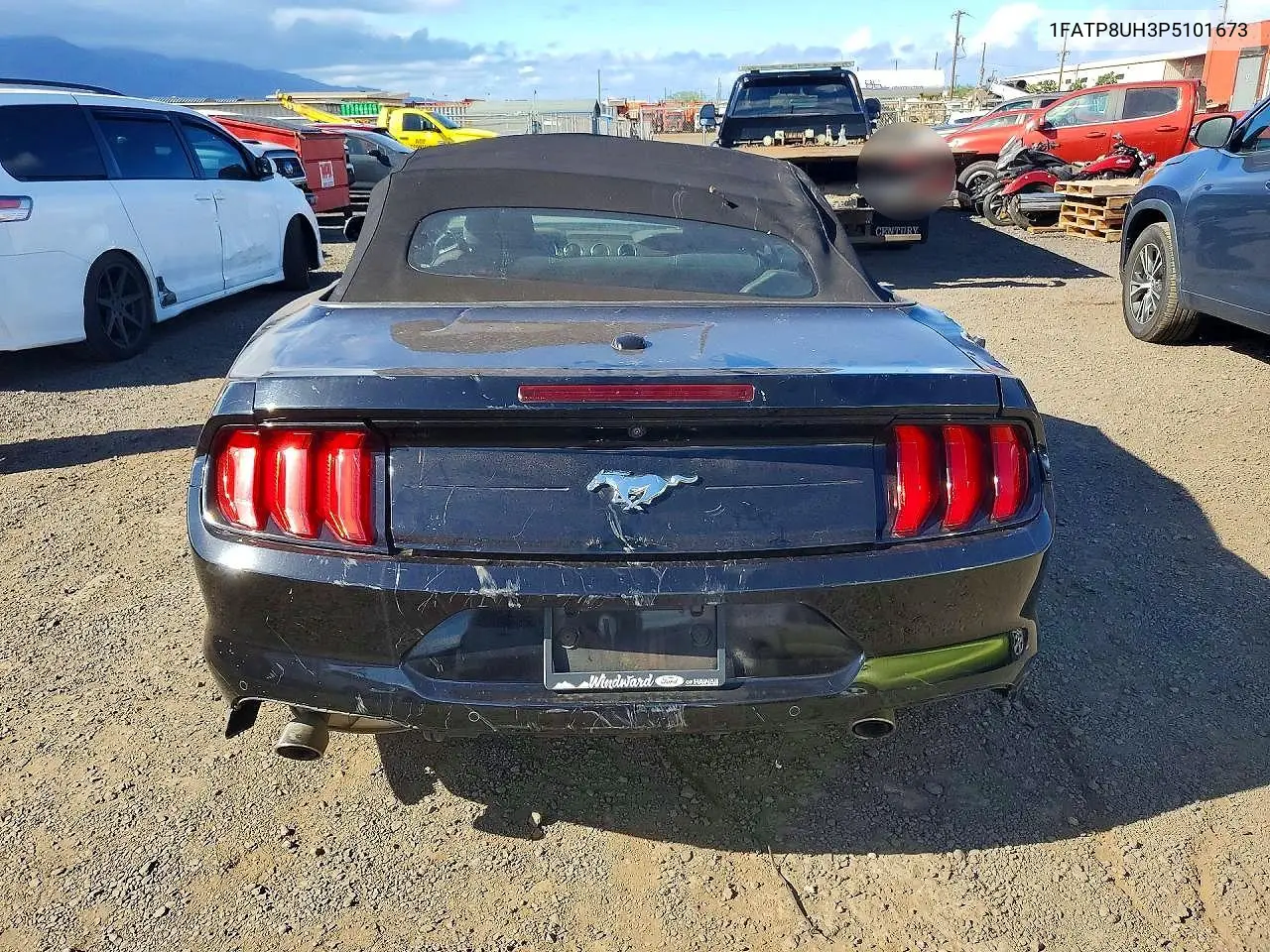 Mustang