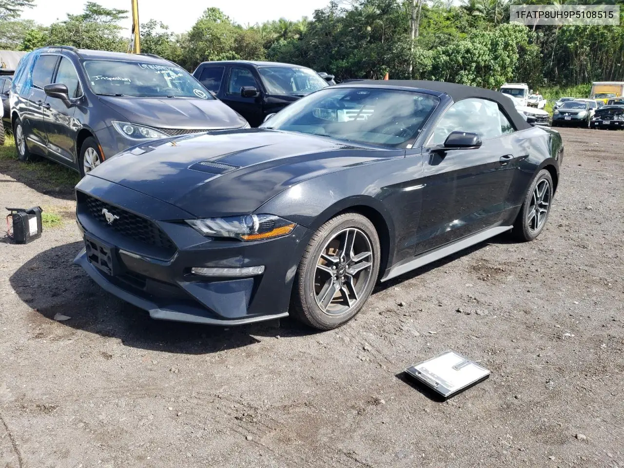 1FATP8UH9P5108515 2023 Ford Mustang