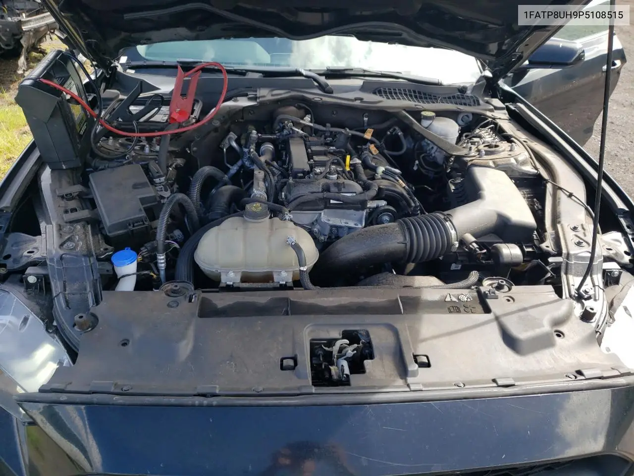 1FATP8UH9P5108515 2023 Ford Mustang