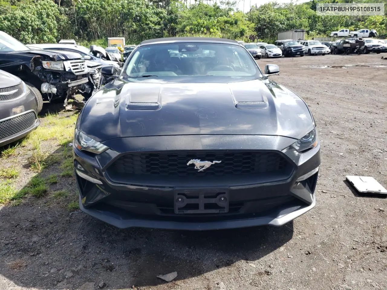 1FATP8UH9P5108515 2023 Ford Mustang