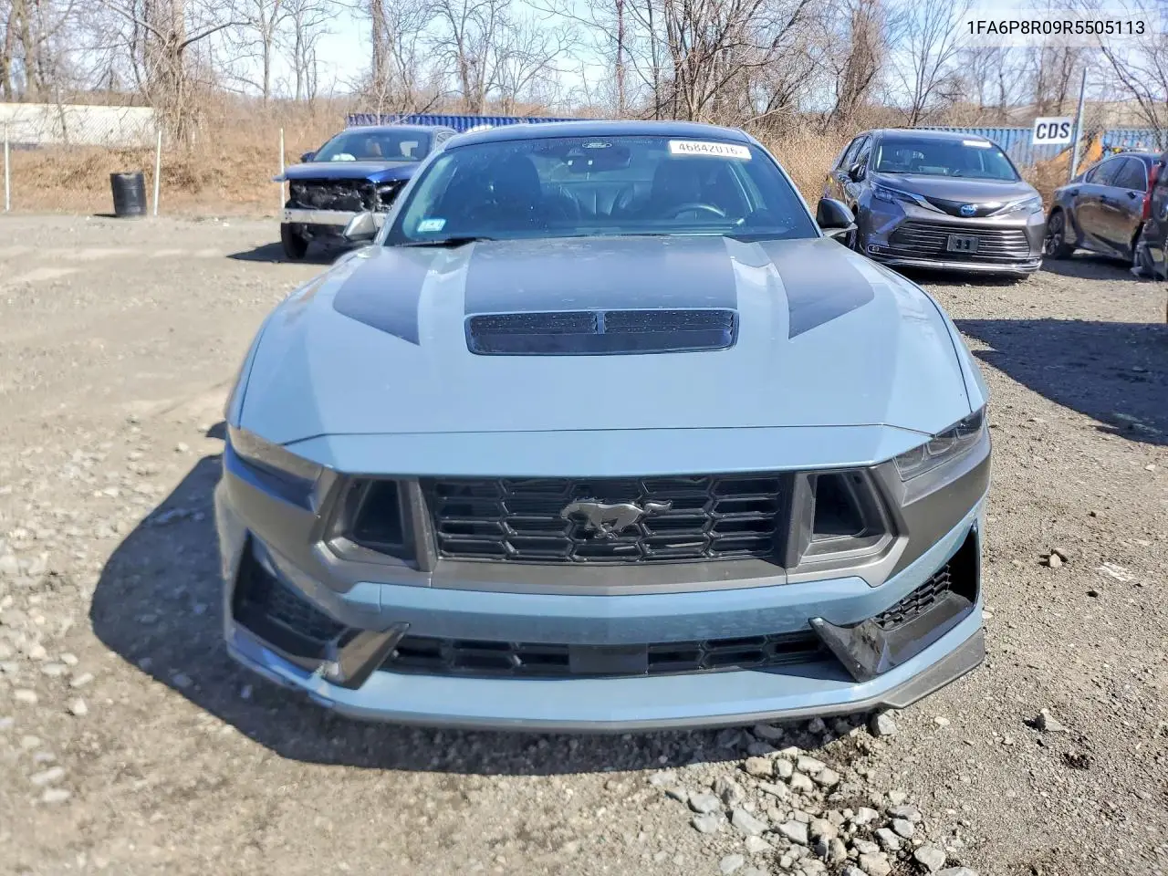 1FA6P8R09R5505113 2024 Ford Mustang Dark Horse