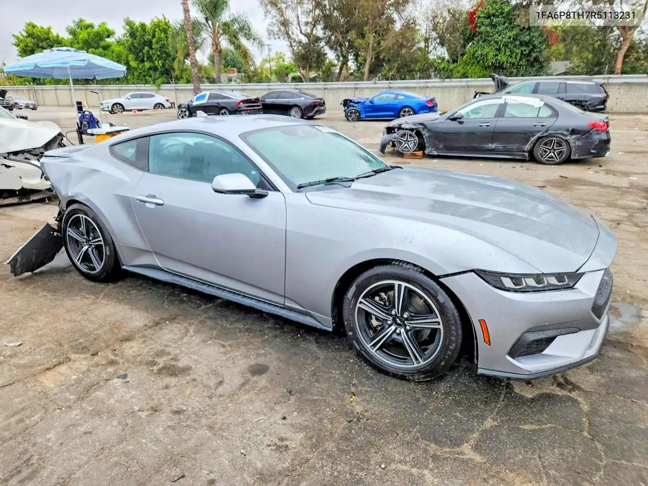 2024 Ford Mustang VIN: 1FA6P8TH7R5113231 Lot: 58264106