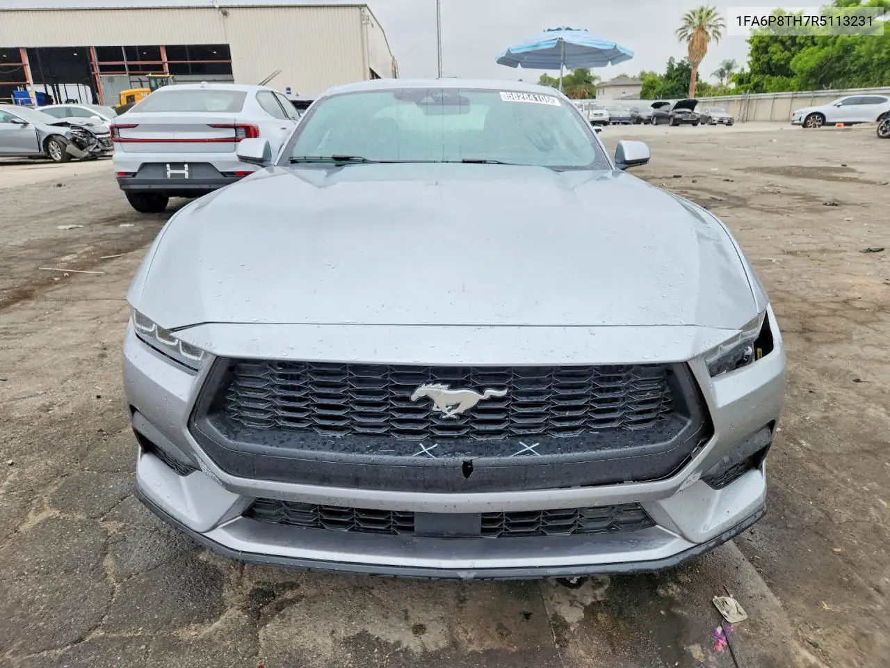 2024 Ford Mustang VIN: 1FA6P8TH7R5113231 Lot: 58264106
