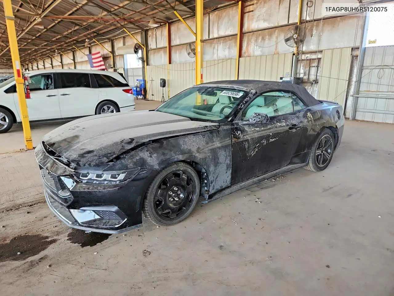 2024 Ford Mustang VIN: 1FAGP8UH6R5120075 Lot: 60829696