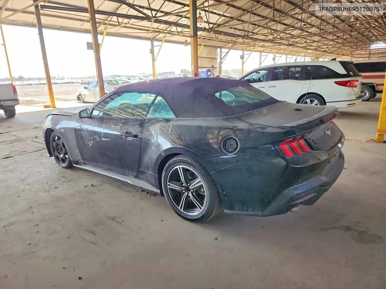 2024 Ford Mustang VIN: 1FAGP8UH6R5120075 Lot: 60829696