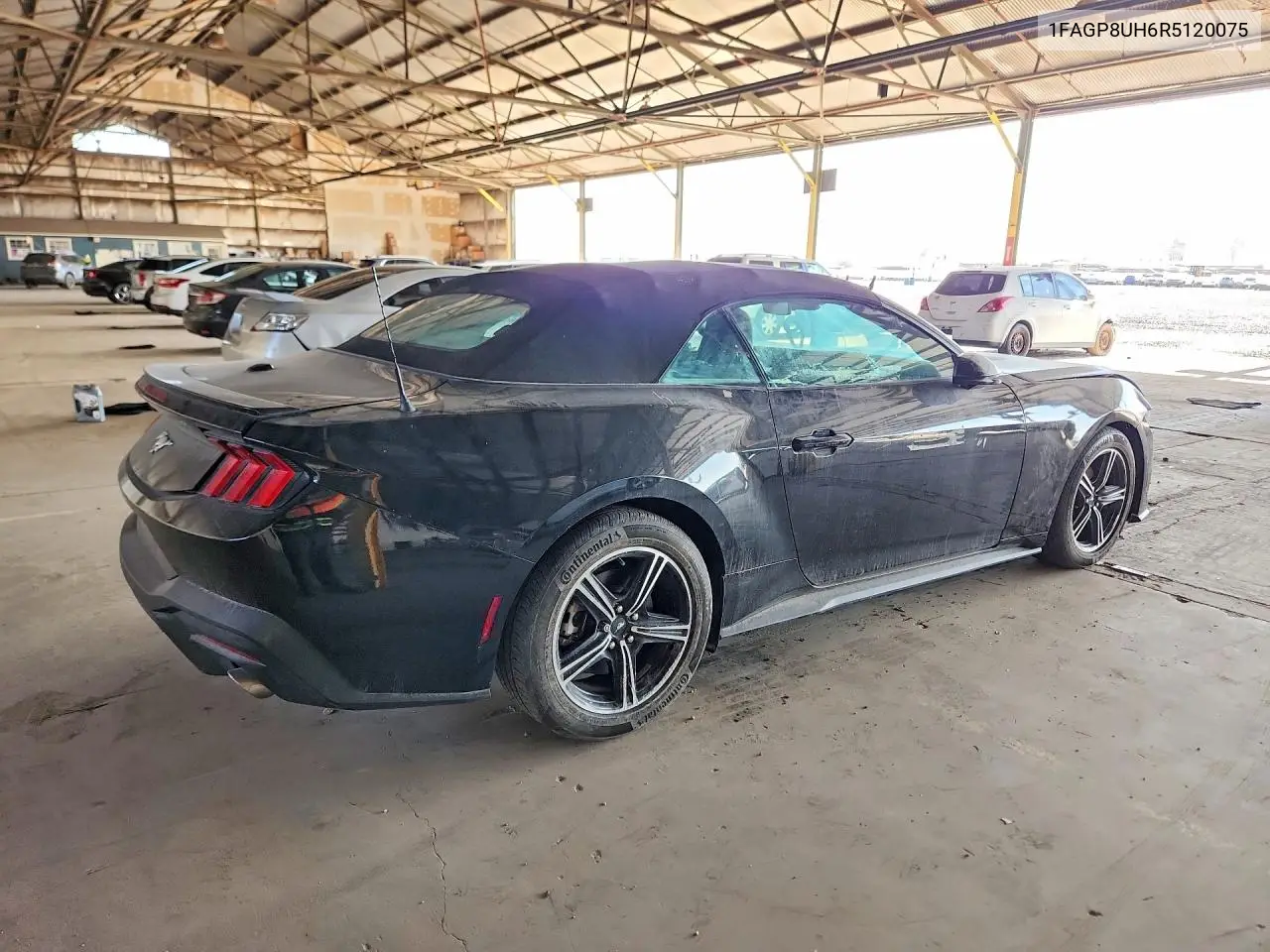 2024 Ford Mustang VIN: 1FAGP8UH6R5120075 Lot: 60829696