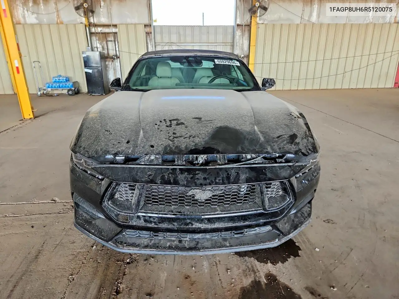 2024 Ford Mustang VIN: 1FAGP8UH6R5120075 Lot: 60829696