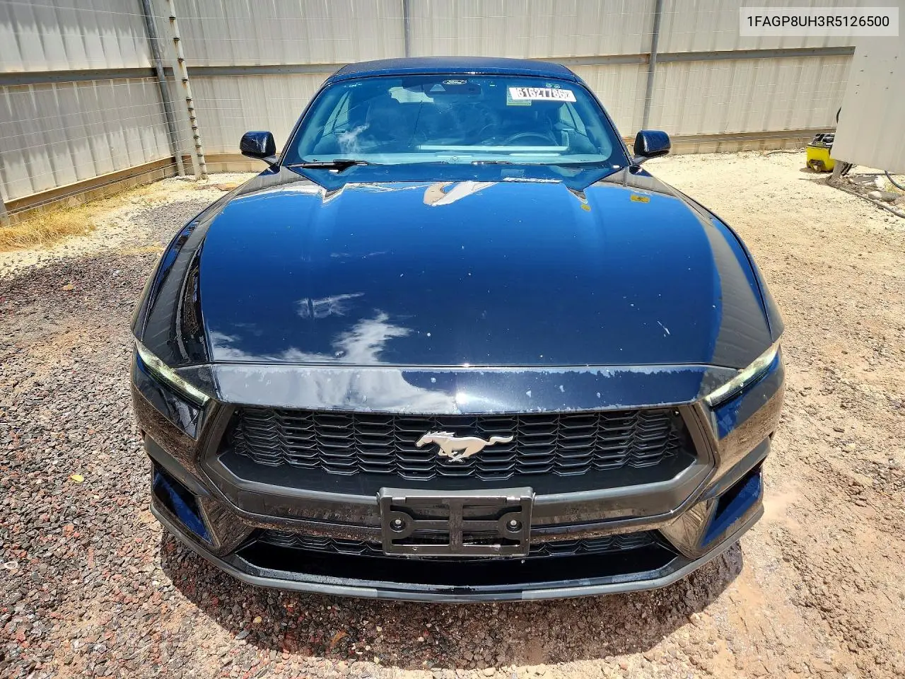 2024 Ford Mustang VIN: 1FAGP8UH3R5126500 Lot: 61627786