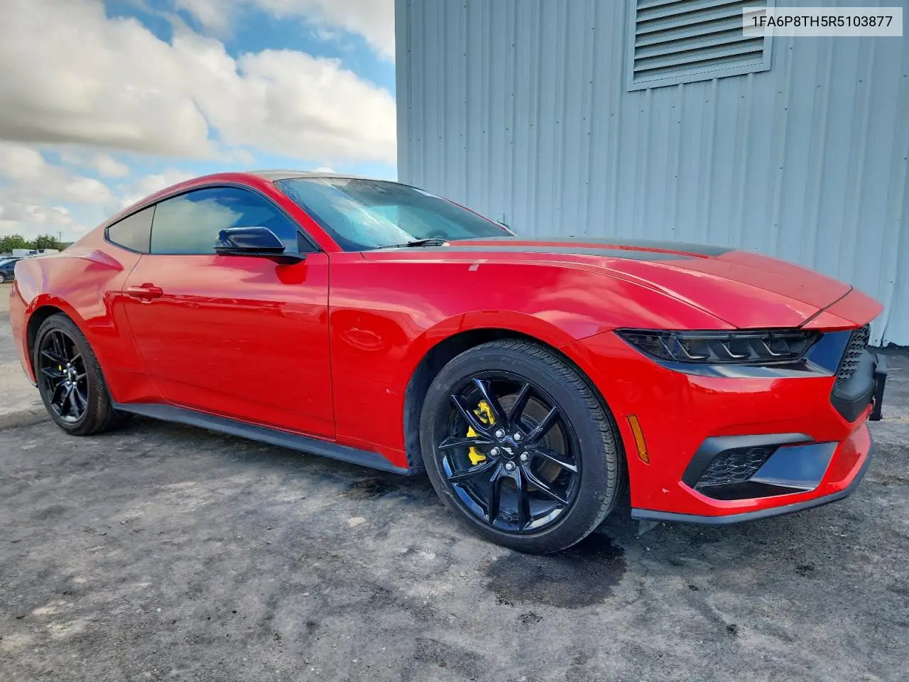 1FA6P8TH5R5103877 2024 Ford Mustang
