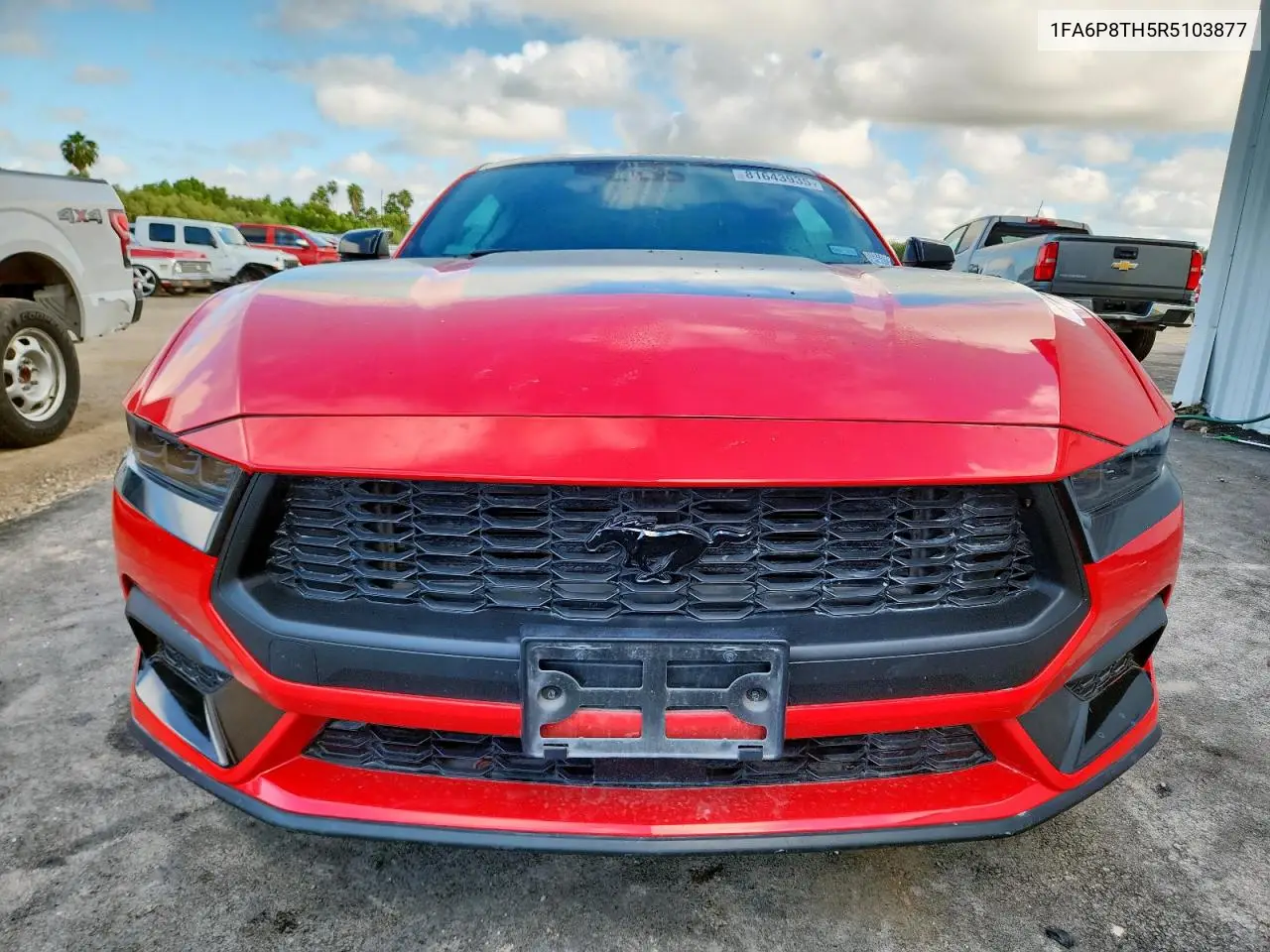 1FA6P8TH5R5103877 2024 Ford Mustang