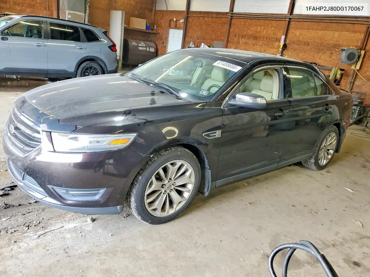 2013 Ford Taurus Limited VIN: 1FAHP2J80DG170067 Lot: 61408666
