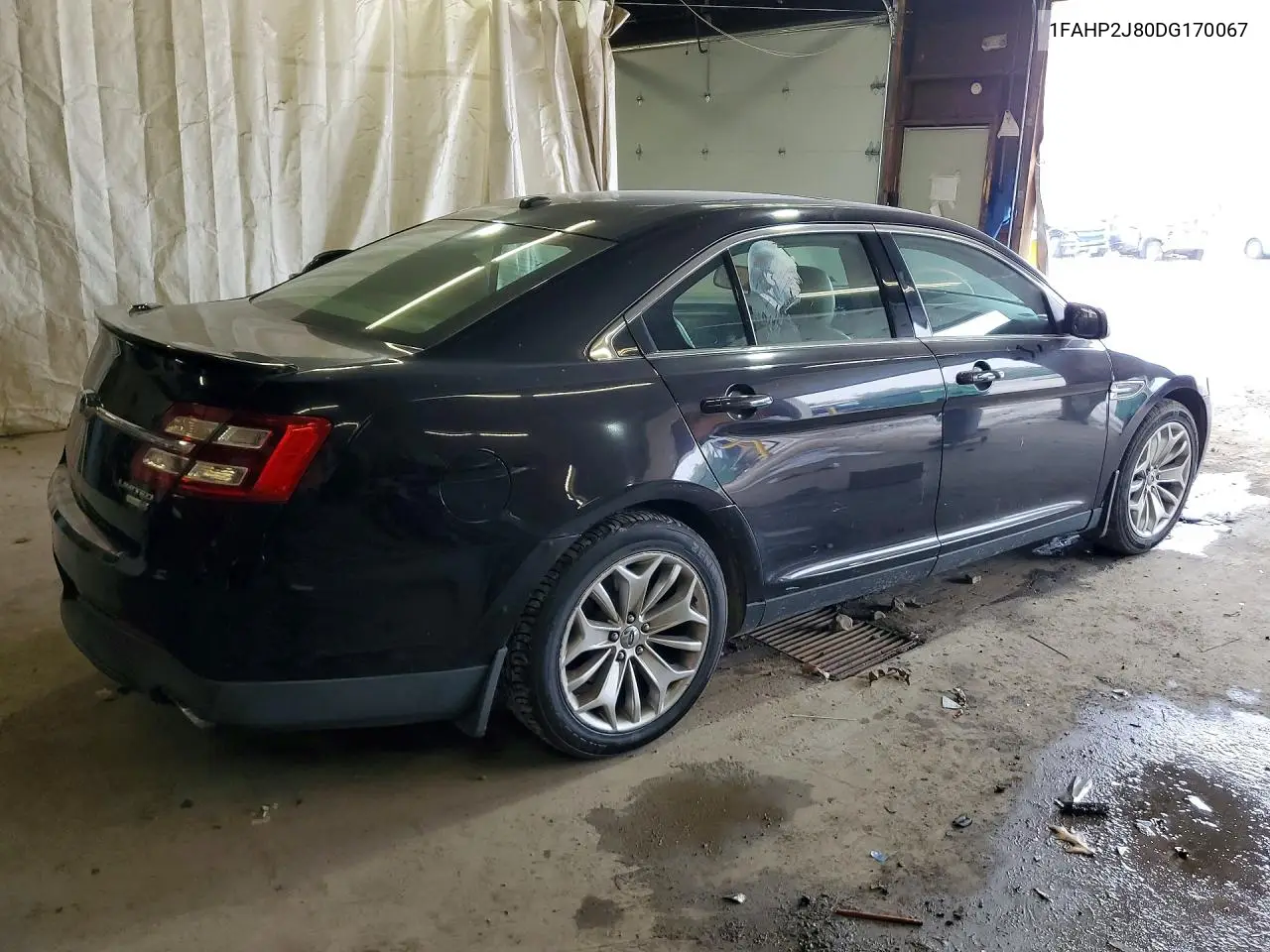 2013 Ford Taurus Limited VIN: 1FAHP2J80DG170067 Lot: 61408666