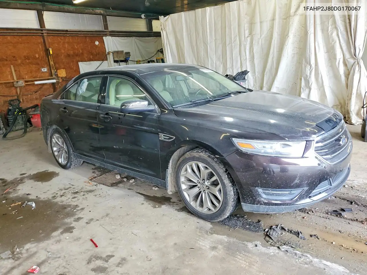 2013 Ford Taurus Limited VIN: 1FAHP2J80DG170067 Lot: 61408666