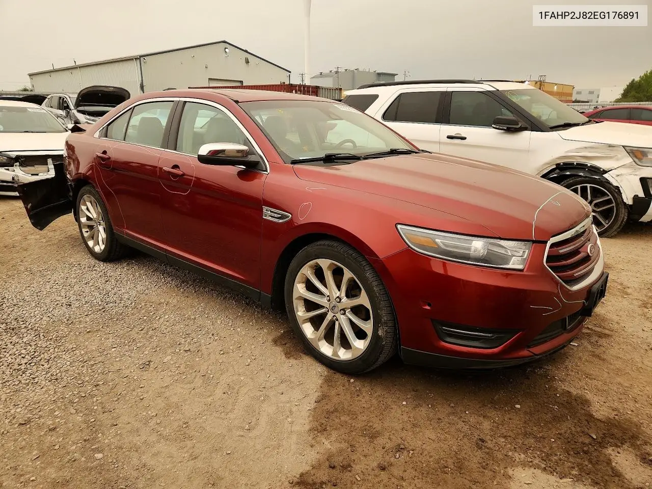 2014 Ford Taurus Limited VIN: 1FAHP2J82EG176891 Lot: 41632146
