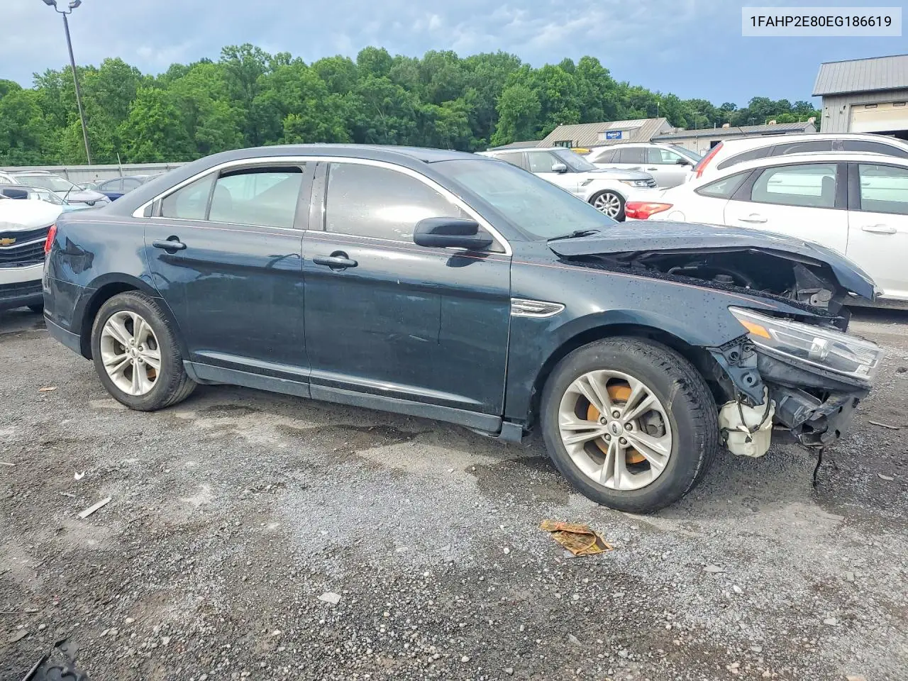 2014 Ford Taurus Sel VIN: 1FAHP2E80EG186619 Lot: 57573486