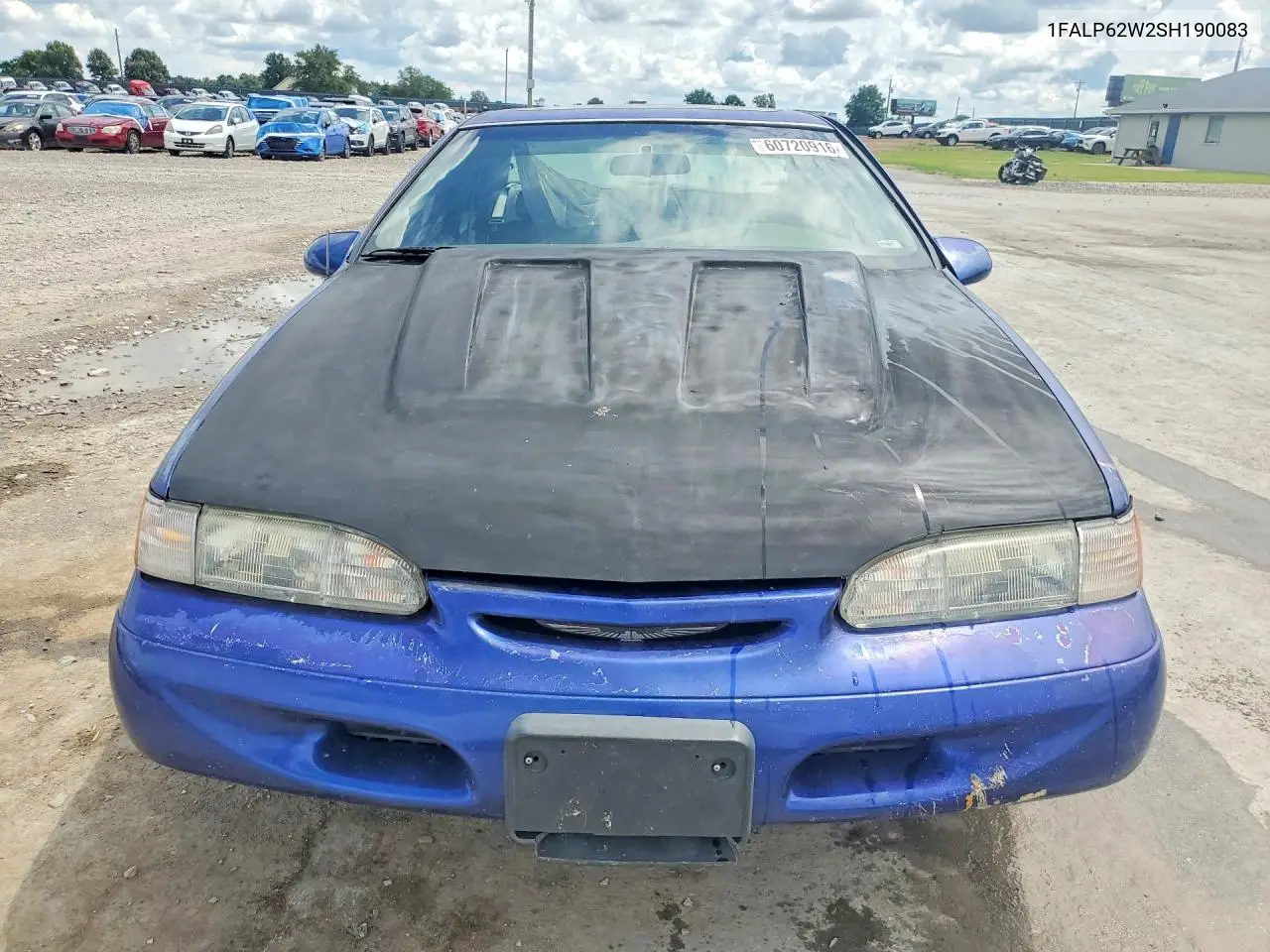 1995 Ford Thunderbird Lx VIN: 1FALP62W2SH190083 Lot: 60720916