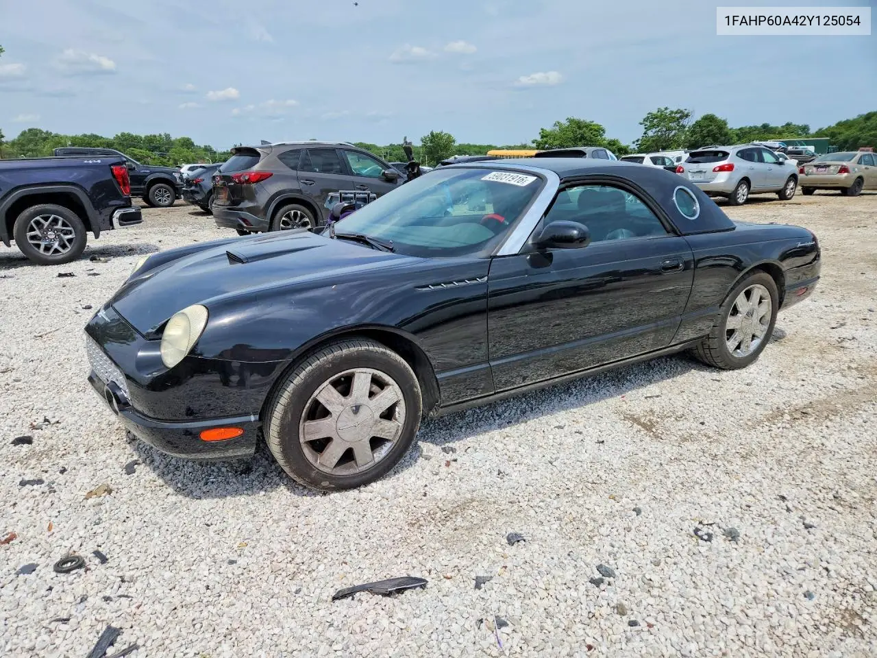 2002 Ford Thunderbird VIN: 1FAHP60A42Y125054 Lot: 59031916