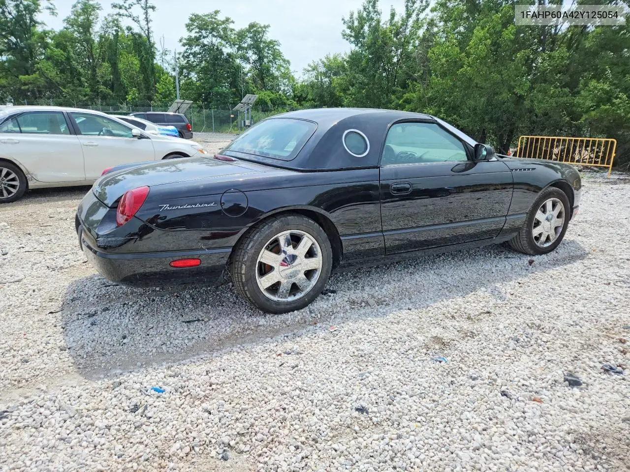 2002 Ford Thunderbird VIN: 1FAHP60A42Y125054 Lot: 59031916