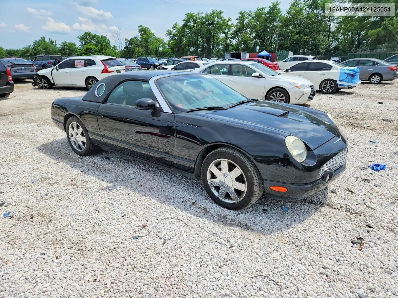 2002 Ford Thunderbird VIN: 1FAHP60A42Y125054 Lot: 59031916