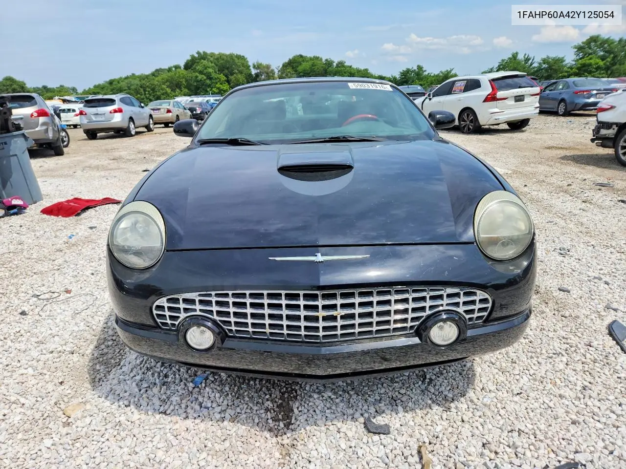 2002 Ford Thunderbird VIN: 1FAHP60A42Y125054 Lot: 59031916