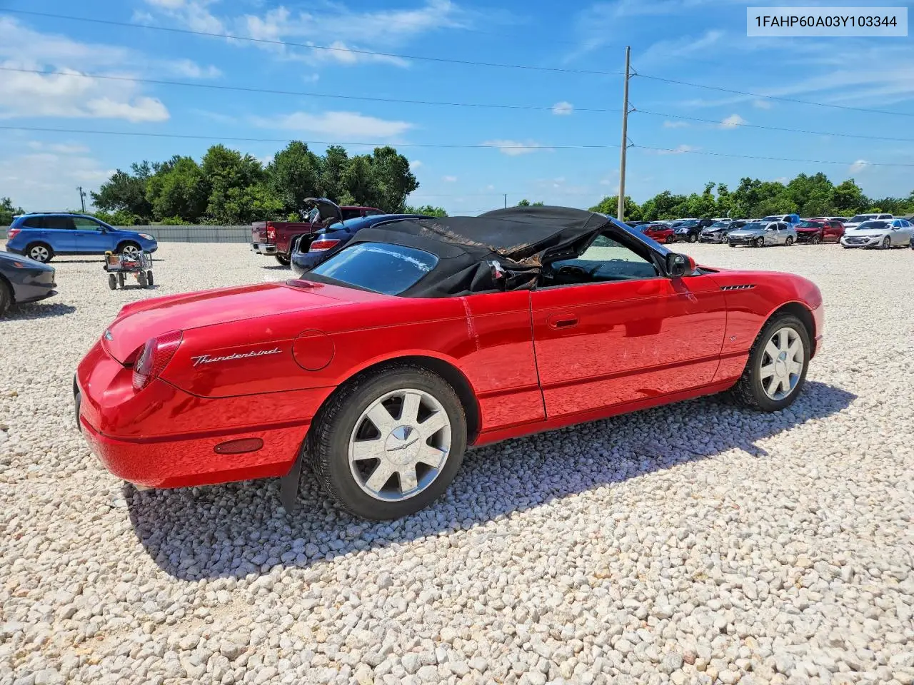 2003 Ford Thunderbird VIN: 1FAHP60A03Y103344 Lot: 55513166