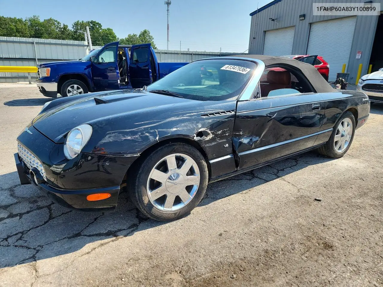 2003 Ford Thunderbird VIN: 1FAHP60A83Y100899 Lot: 61347936