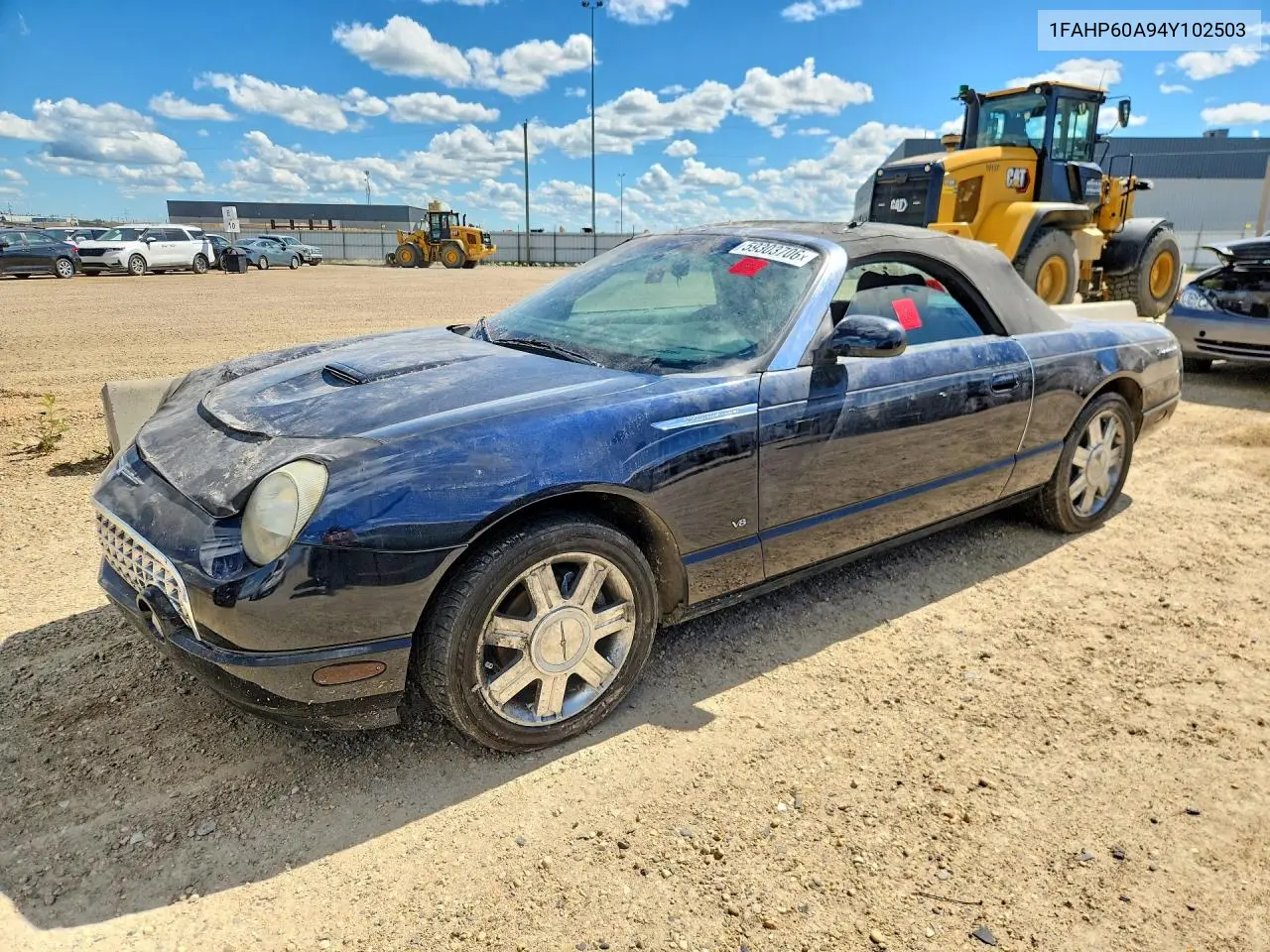 2004 Ford Thunderbird VIN: 1FAHP60A94Y102503 Lot: 59303706