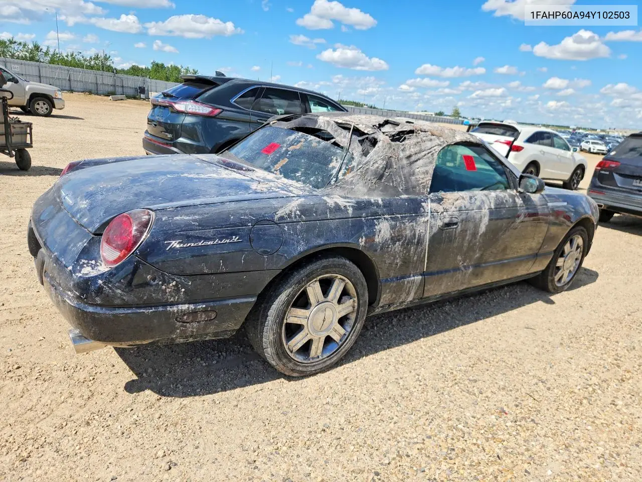 2004 Ford Thunderbird VIN: 1FAHP60A94Y102503 Lot: 59303706