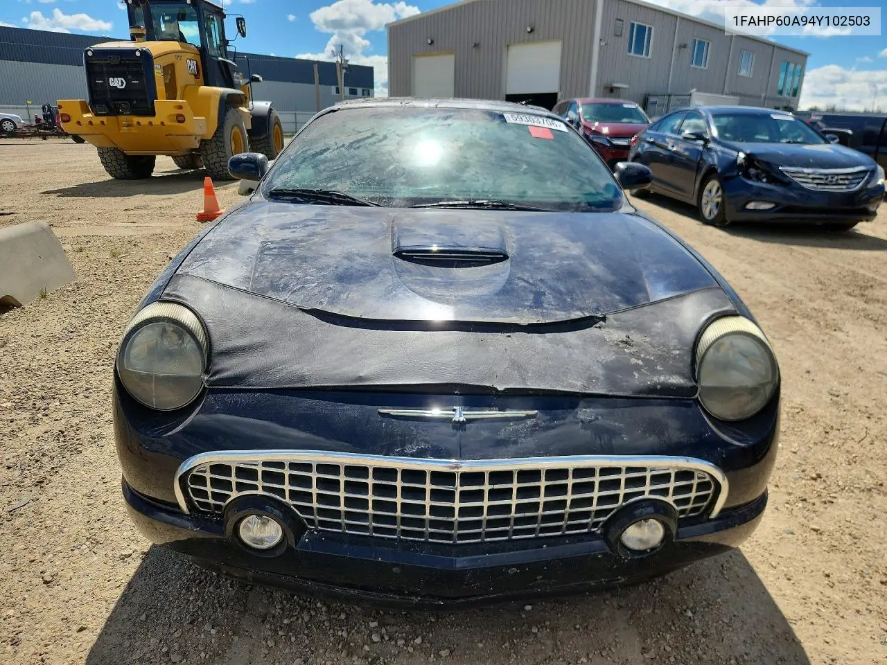 2004 Ford Thunderbird VIN: 1FAHP60A94Y102503 Lot: 59303706