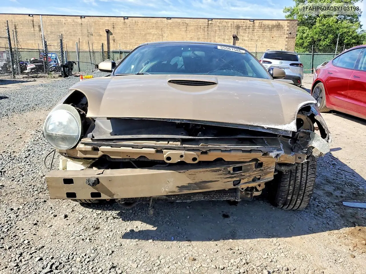 2005 Ford Thunderbird VIN: 1FAHP60A05Y103198 Lot: 55561586