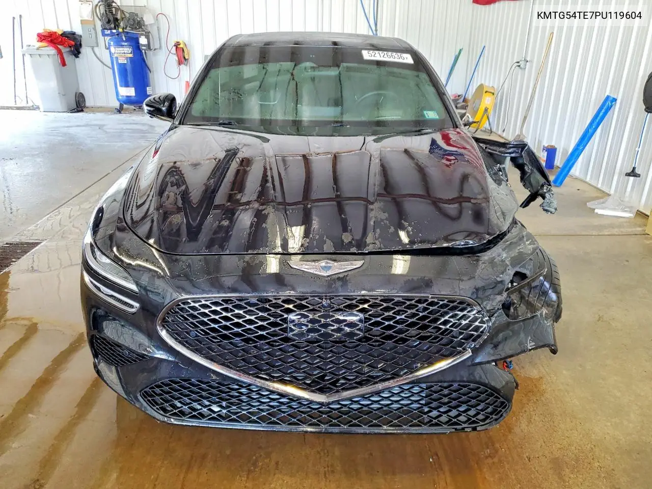 2023 Genesis G70 3.3T Standard VIN: KMTG54TE7PU119604 Lot: 52126636