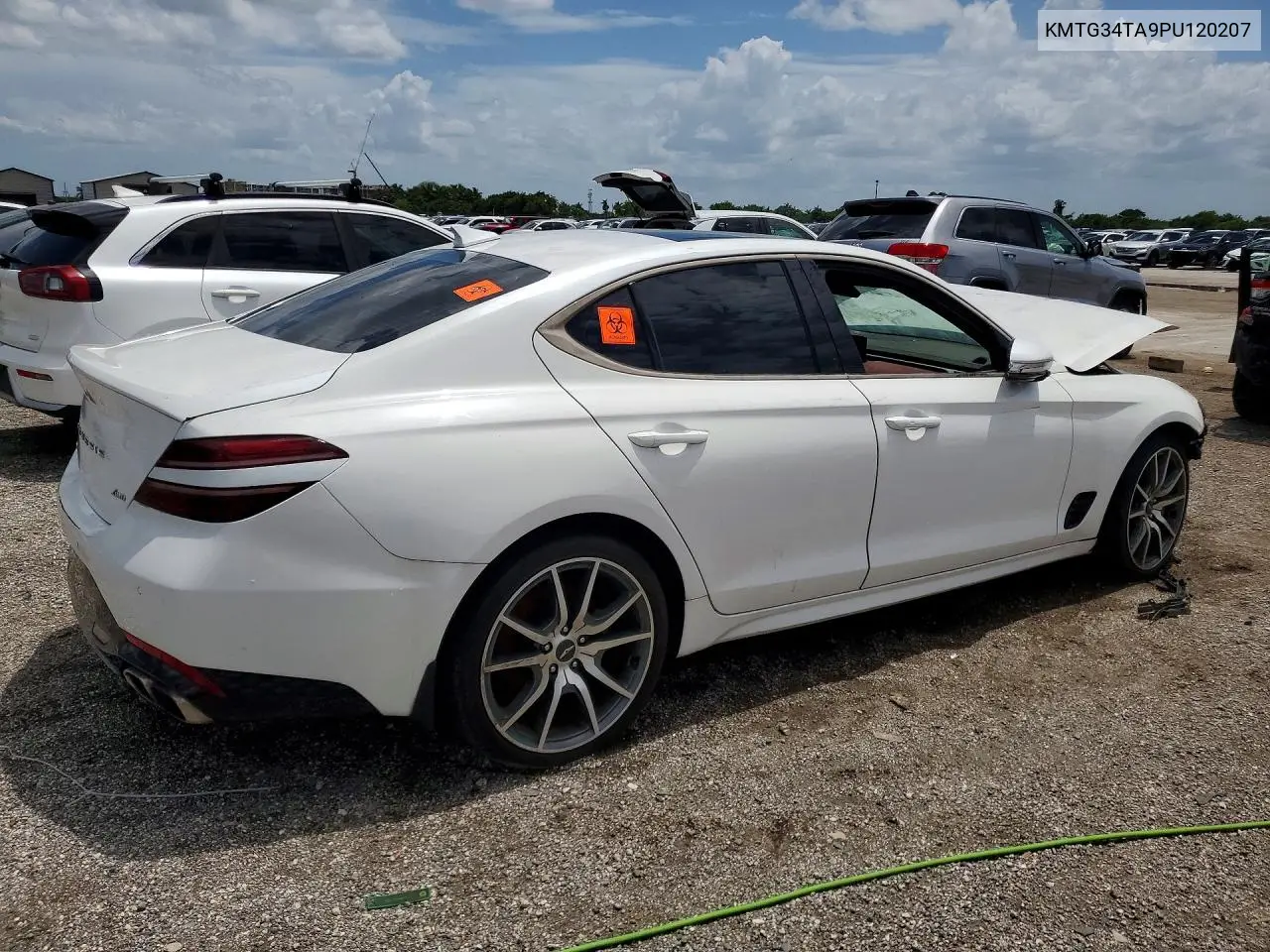 2023 Genesis G70 2.0T VIN: KMTG34TA9PU120207 Lot: 55279826