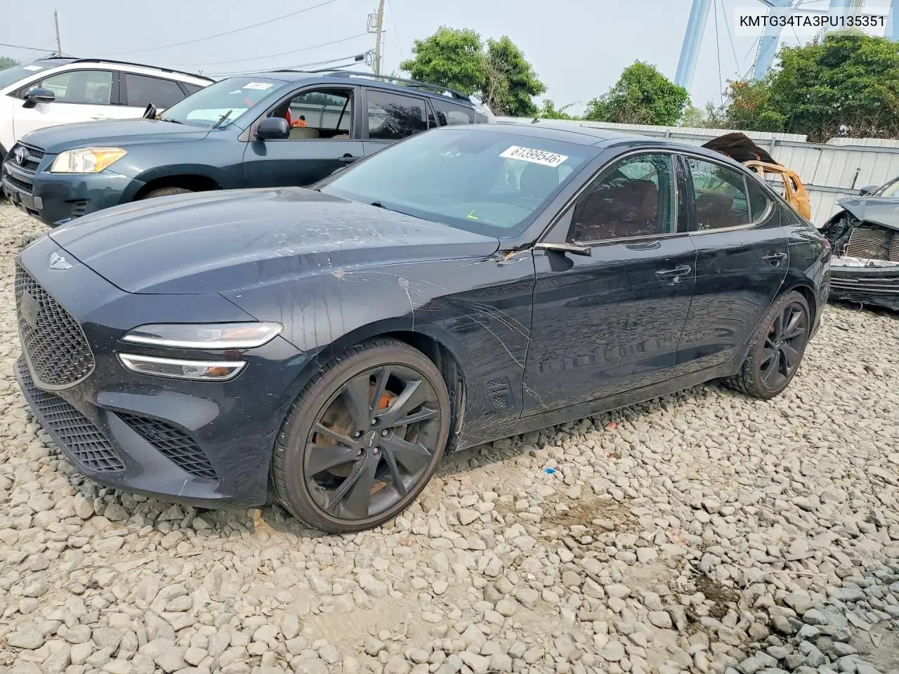 2023 Genesis G70 VIN: KMTG34TA3PU135351 Lot: 61399546