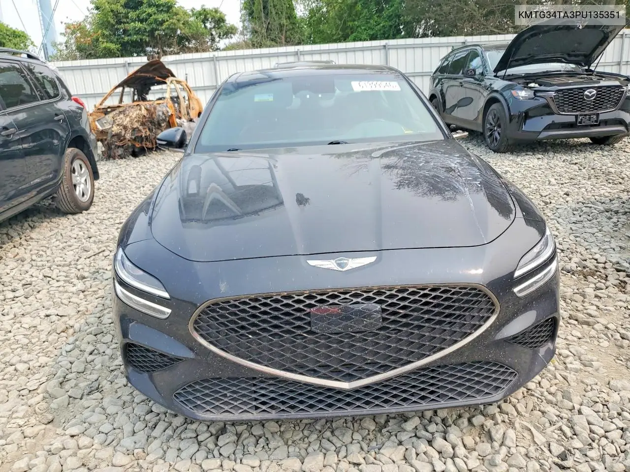 2023 Genesis G70 VIN: KMTG34TA3PU135351 Lot: 61399546