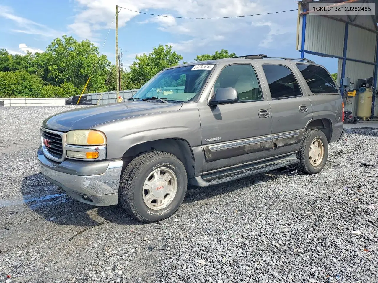 2002 GMC Yukon VIN: 1GKEC13Z12J282485 Lot: 61123976